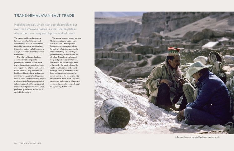 Produktbild: Miracle of Salt