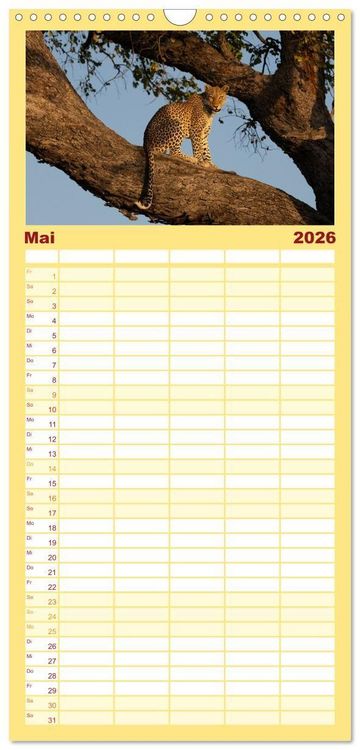 Produktbild: Familienplaner 2026 - Komm mit auf Safari! Botswana und S&uuml;dafrika mit 5 Spalten (Wandkalender, 21 x 45 cm) CALVENDO