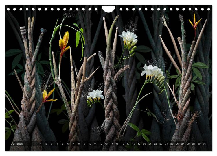 Produktbild: Musica fant&aacute;sia - Die wundersame Welt des Fotok&uuml;nstlers Olaf Bruhn (Wandkalender 2026 DIN A4 quer), CALVENDO Monatskalender