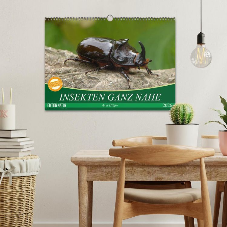Produktbild: INSEKTEN GANZ NAHE (Wandkalender 2026 DIN A3 quer), CALVENDO Monatskalender