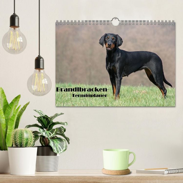 Produktbild: Der Brandlbracken-Terminplaner (Wandkalender 2026 DIN A4 quer), CALVENDO Monatskalender