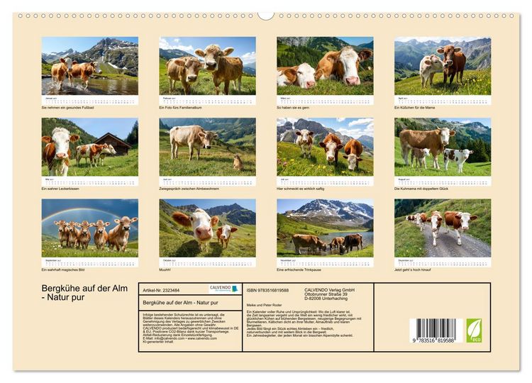 Produktbild: Bergk&uuml;he auf der Alm - Natur pur (hochwertiger Premium Wandkalender 2027 DIN A2 quer), Kunstdruck in Hochglanz