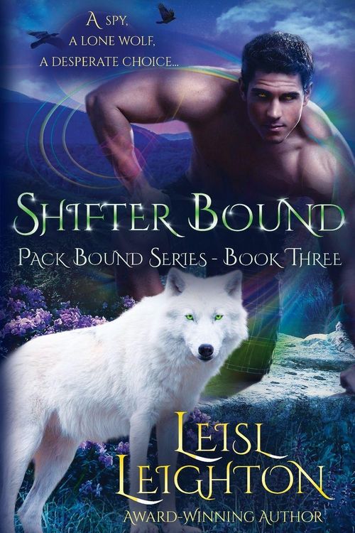 Produktbild: Shifter Bound
