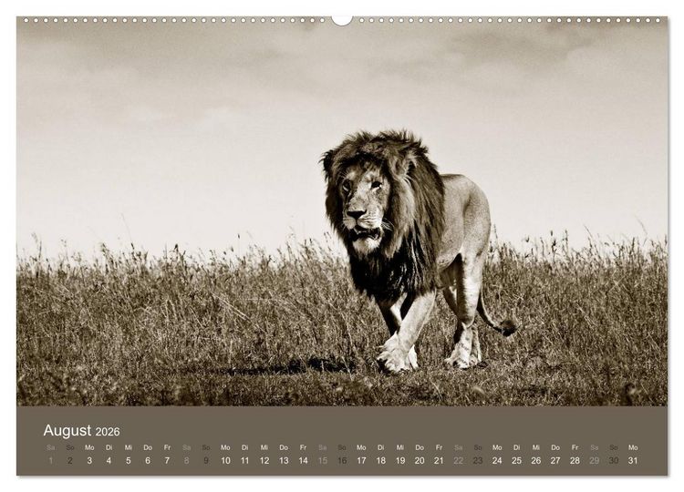 Produktbild: Wildes Afrika (hochwertiger Premium Wandkalender 2026 DIN A2 quer), Kunstdruck in Hochglanz