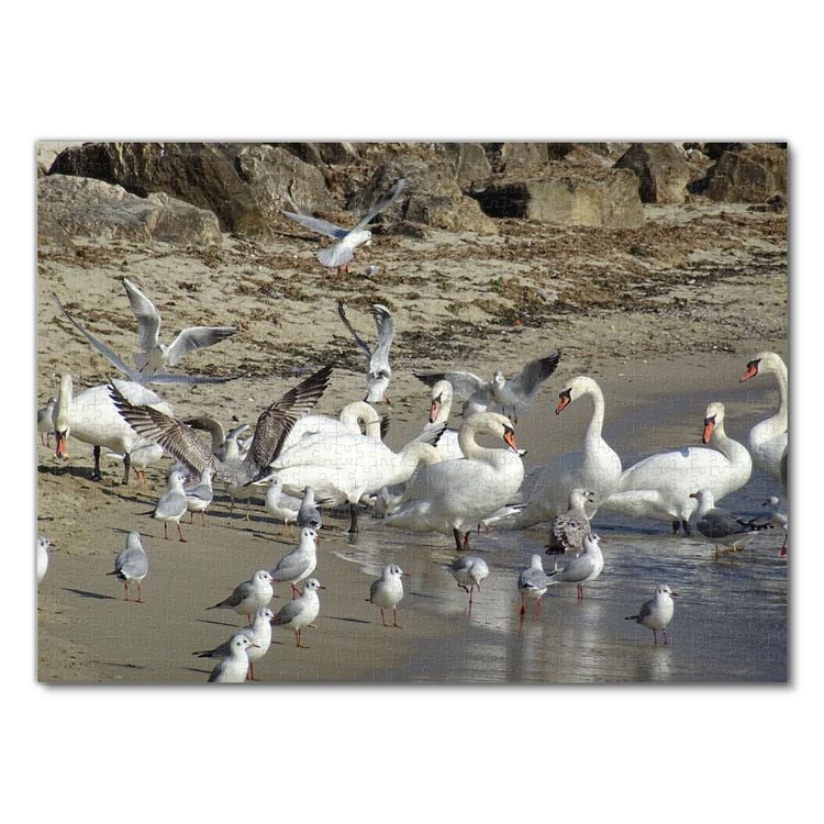 Produktbild: Lais Puzzle Schw&auml;ne und M&ouml;wen am Strand 1000 Teile