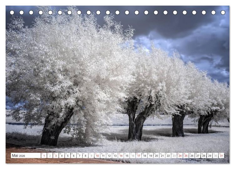 Produktbild: Zauberhafte Infrarot-Fotografie (Tischkalender 2026 DIN A5 quer), CALVENDO Monatskalender