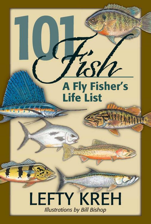 Produktbild: 101 Fish