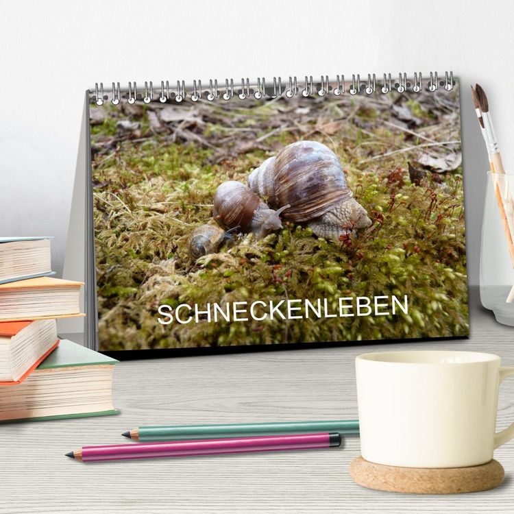 Produktbild: Schneckenleben (Tischkalender 2026 DIN A5 quer), CALVENDO Monatskalender