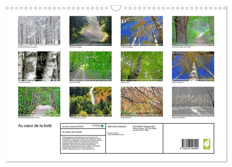 Produktbild: Au c&oelig;ur de la for&ecirc;t (Calendrier mural 2026 DIN A3 vertical), CALVENDO calendrier mensuel