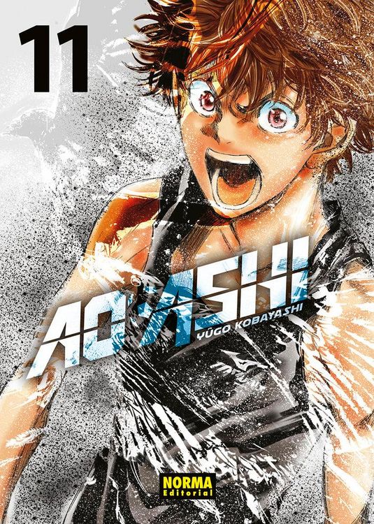 Produktbild: Ao Ashi 11