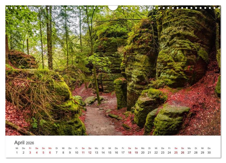 Produktbild: DEUTSCHLAND, S&auml;chsische Schweiz Nationalpark, M&auml;rchenwald (Wandkalender 2026 DIN A3 quer), CALVENDO Monatskalender