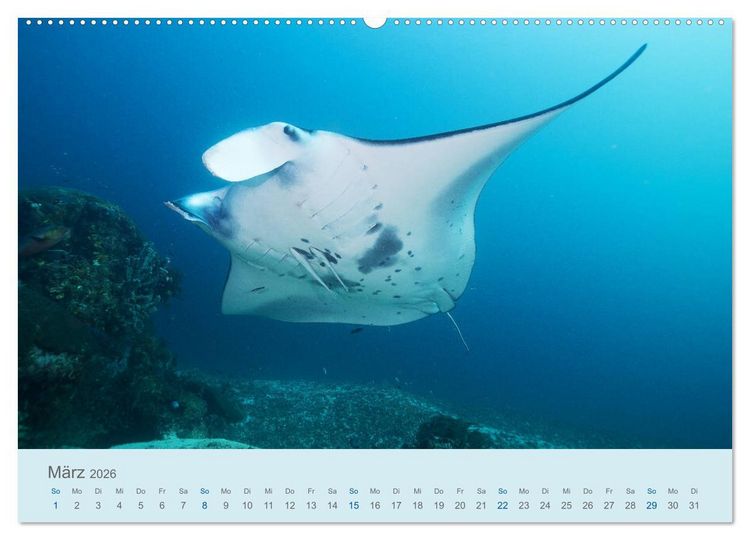 Produktbild: Abenteuer Unterwasser (Wandkalender 2026 DIN A2 quer), CALVENDO Monatskalender