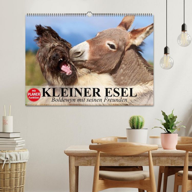 Produktbild: Kleiner Esel. Boldewyn mit seinen Freunden (Wandkalender 2026 DIN A2 quer), CALVENDO Monatskalender
