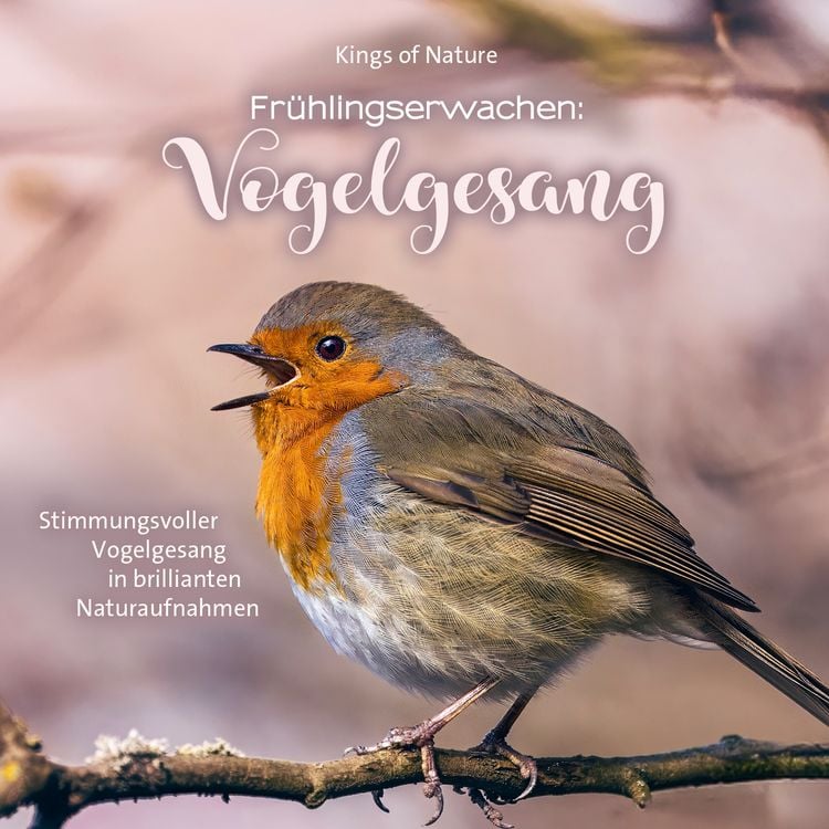 Produktbild: Fr&uuml;hlingserwachen: Vogelgesang