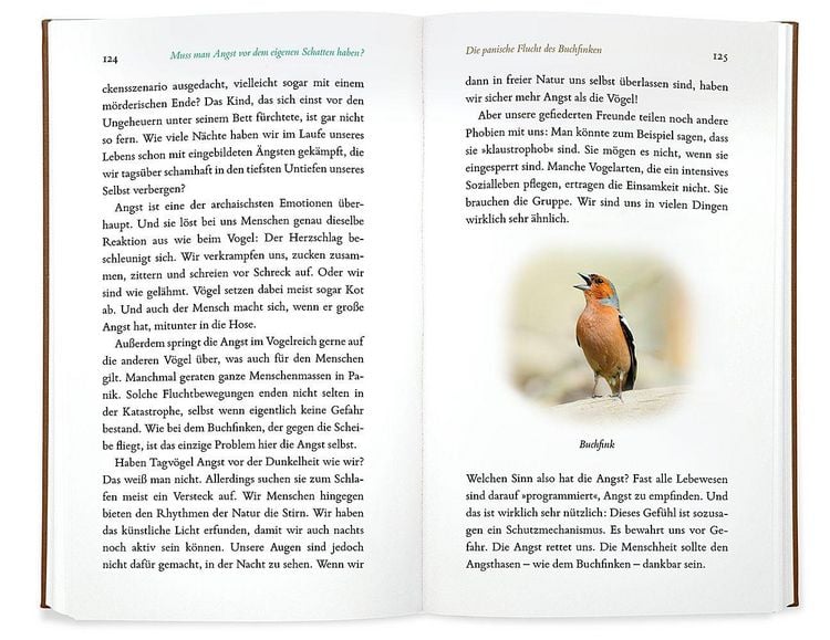 Produktbild: Kleine Philosophie der V&ouml;gel