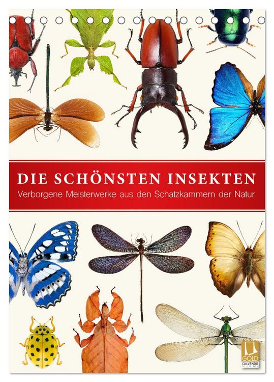 Produktbild: Die sch&ouml;nsten Insekten (Tischkalender 2026 DIN A5 hoch), CALVENDO Monatskalender