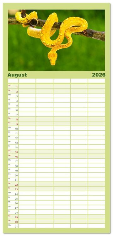 Produktbild: Familienplaner 2026 - Faszination Schlangen mit 5 Spalten (Wandkalender, 21 x 45 cm) CALVENDO
