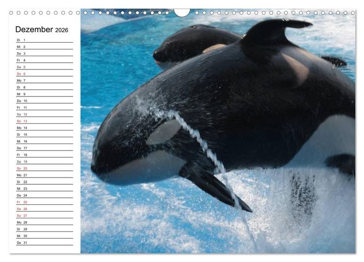 Produktbild: Wale. Kolosse der Meere (Wandkalender 2026 DIN A3 quer), CALVENDO Monatskalender