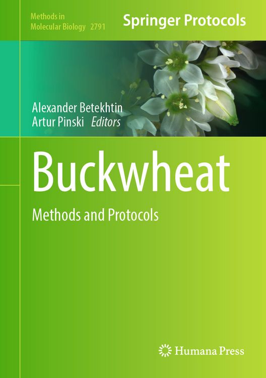 Produktbild: Buckwheat