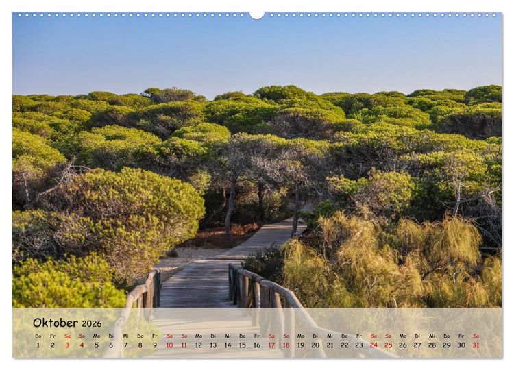 Produktbild: Rota, in Spanien (Wandkalender 2026 DIN A2 quer), CALVENDO Monatskalender
