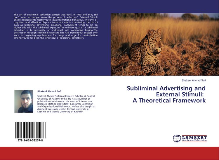 Produktbild: Subliminal Advertising and External Stimuli: A Theoretical Framework