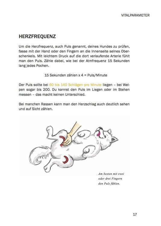 Produktbild: Erste Hilfe am Hund - Leben retten durch einfache Ma&szlig;nahmen