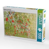 Produktbild: CALVENDO Puzzle Blumen im Kornfeld 1000 Teile Lege-Gr&ouml;&szlig;e 48 x 64 cm Foto-Puzzle Bild von Gisela Kruse