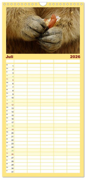 Produktbild: Familienplaner 2026 - Und ewig pfeift das Murmeltier mit 5 Spalten (Wandkalender, 21 x 45 cm) CALVENDO