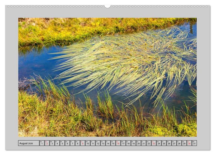 Produktbild: Farbenspiel - Kunstwerke in der Natur 2026 (Wandkalender 2026 DIN A2 quer), CALVENDO Monatskalender