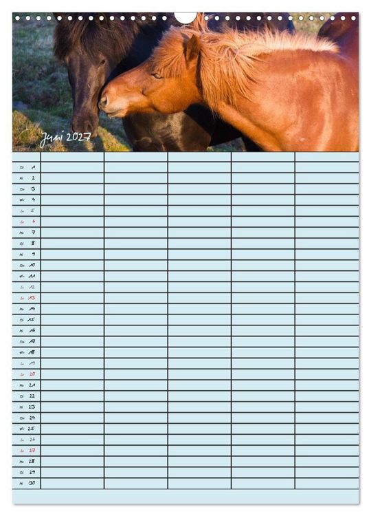 Produktbild: Island Familienplaner (Wandkalender 2027 DIN A3 hoch), CALVENDO Monatskalender