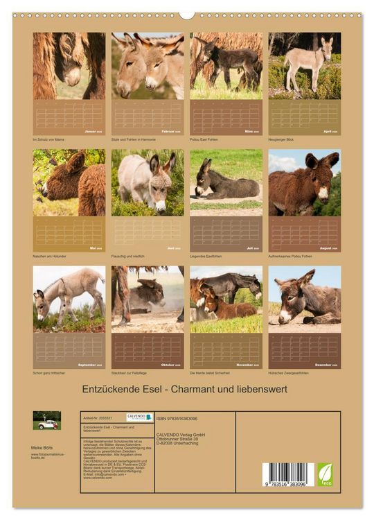 Produktbild: Entz&uuml;ckende Esel - Charmant und liebenswert (hochwertiger Premium Wandkalender 2026 DIN A2 hoch), Kunstdruck in Hochglanz