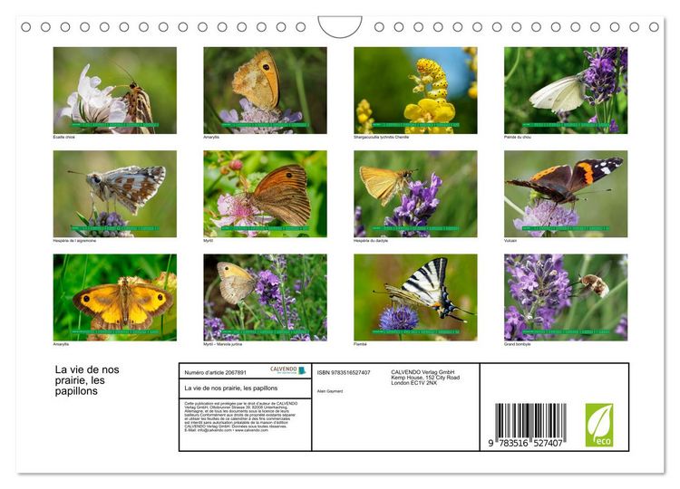 Produktbild: La vie de nos prairie, les papillons (Calendrier mural 2026 DIN A4 vertical), CALVENDO calendrier mensuel