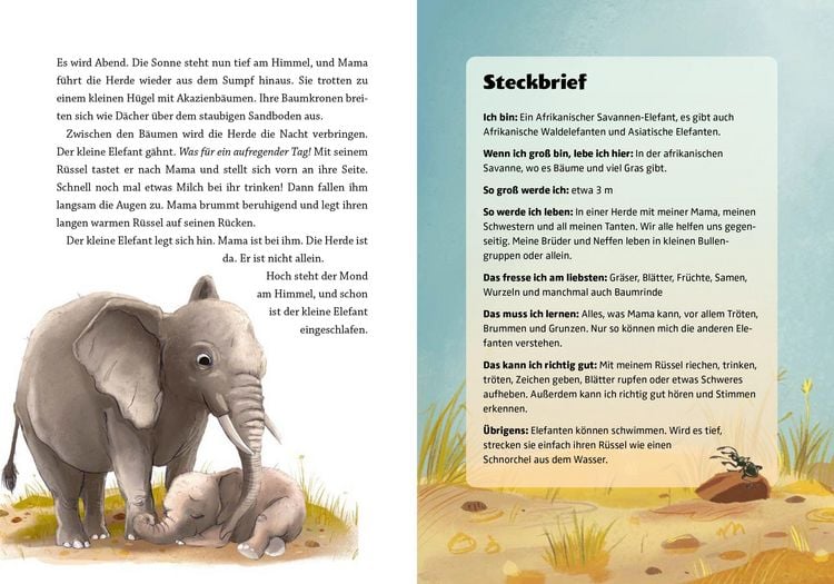 Produktbild: Gute Nacht, kleiner Koala &ndash; 20 tierische Einschlafgeschichten