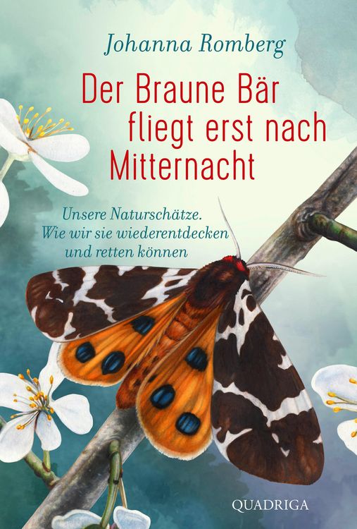 Produktbild: Der Braune B&auml;r fliegt erst nach Mitternacht