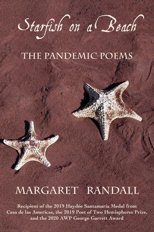 Produktbild: Starfish on a Beach
