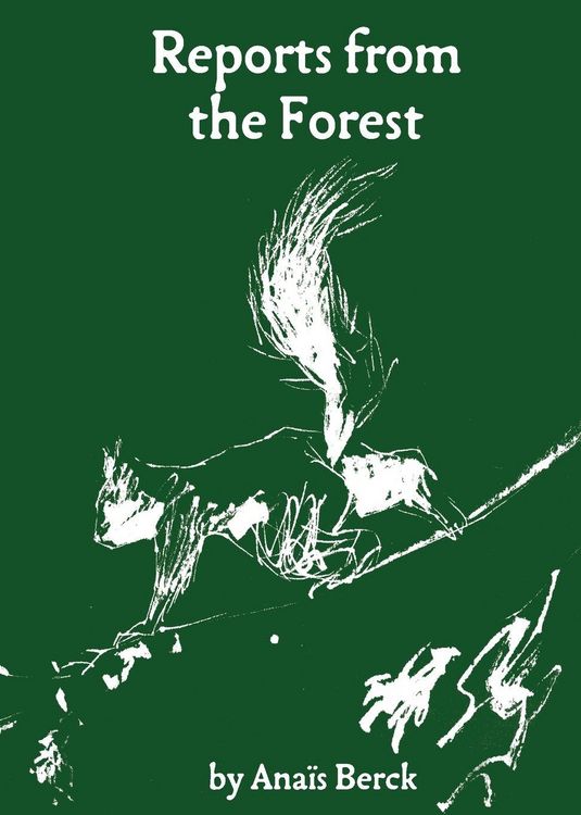 Produktbild: Reports from the Forest