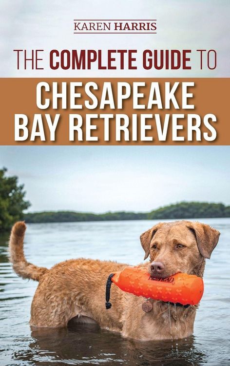Produktbild: The Complete Guide to Chesapeake Bay Retrievers