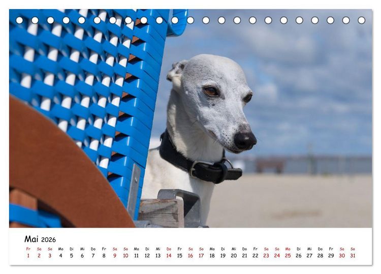 Produktbild: Strandurlaub mit Hund (Tischkalender 2026 DIN A5 quer), CALVENDO Monatskalender