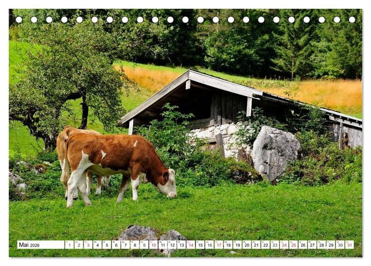 Produktbild: Mein Werdenfelser Land (Tischkalender 2026 DIN A5 quer), CALVENDO Monatskalender
