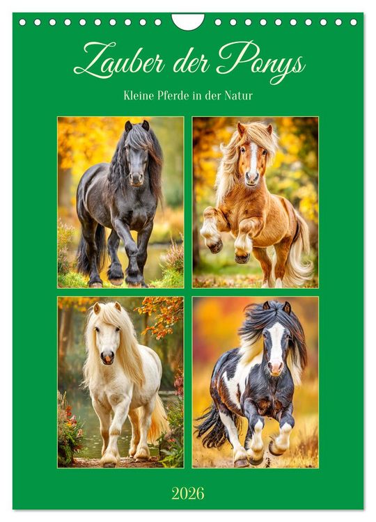 Produktbild: Zauber der Ponys. Kleine Pferde in der Natur (Wandkalender 2026 DIN A4 hoch), CALVENDO Monatskalender