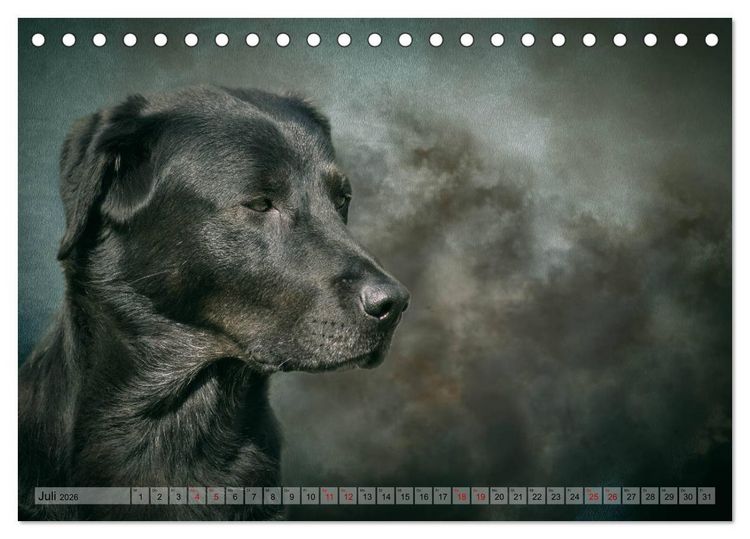 Produktbild: Jagdhunde im Portrait (Tischkalender 2026 DIN A5 quer), CALVENDO Monatskalender