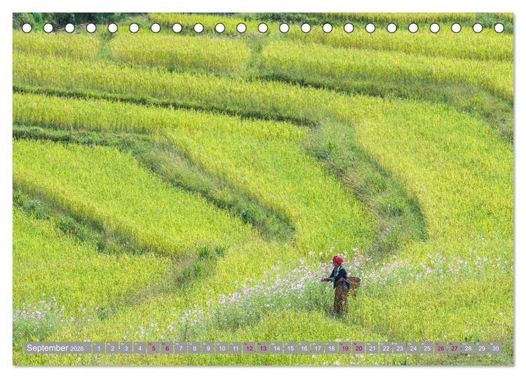 Produktbild: S&uuml;dostasien - Thailand, Vietnam, Kambodscha, Myanmar, Laos (Tischkalender 2026 DIN A5 quer), CALVENDO Monatskalender