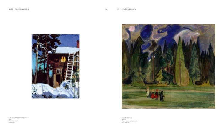 Produktbild: Nordlichter