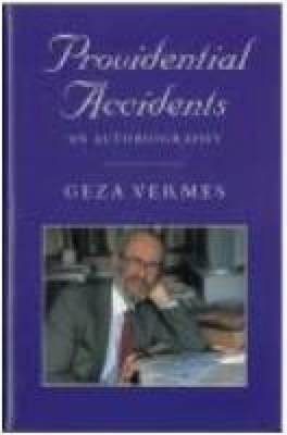 Produktbild: Providential Accidents
