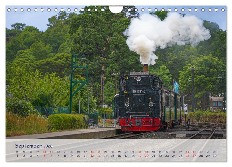 Produktbild: R&uuml;genliebe (Wandkalender 2026 DIN A4 quer), CALVENDO Monatskalender
