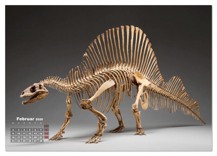 Produktbild: Knochen der Giganten - Dinosaurier im Portr&auml;t (Wandkalender 2026 DIN A2 quer), CALVENDO Monatskalender