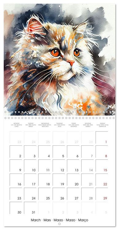 Produktbild: Artistic Cat Breeds (Wall Calendar 2026 12 &times; 12 Inch) CALVENDO 12 Month Wall Calendar