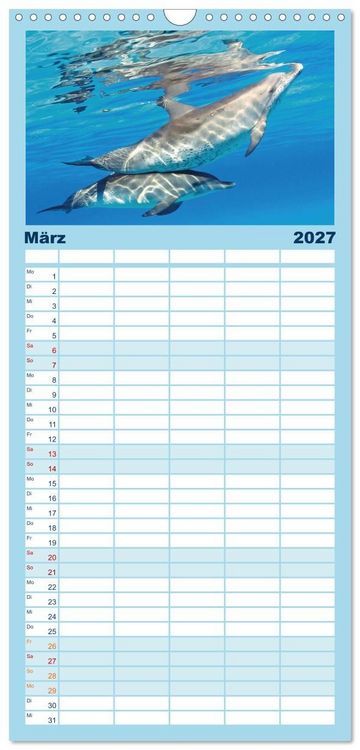 Produktbild: Familienplaner 2027 - Delfine: Elegante Wellenreiter mit 5 Spalten (Wandkalender, 21 x 45 cm) CALVENDO