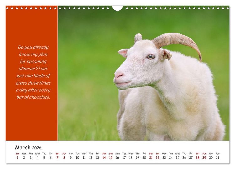 Produktbild: Animals like humour (Wall Calendar 2026 DIN A3 landscape), CALVENDO 12 Month Wall Calendar