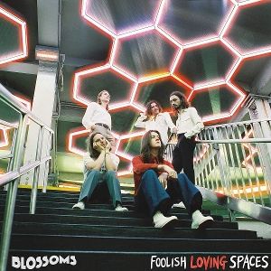 Produktbild: Foolish Loving Spaces